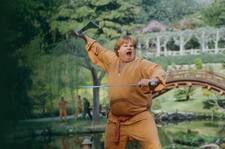Beverly Hills Ninja